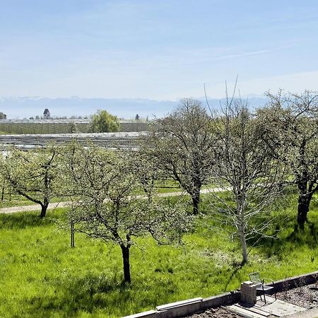 Ferienwohnung Plocher Immenstaad am Bodensee Zewnętrze zdjęcie