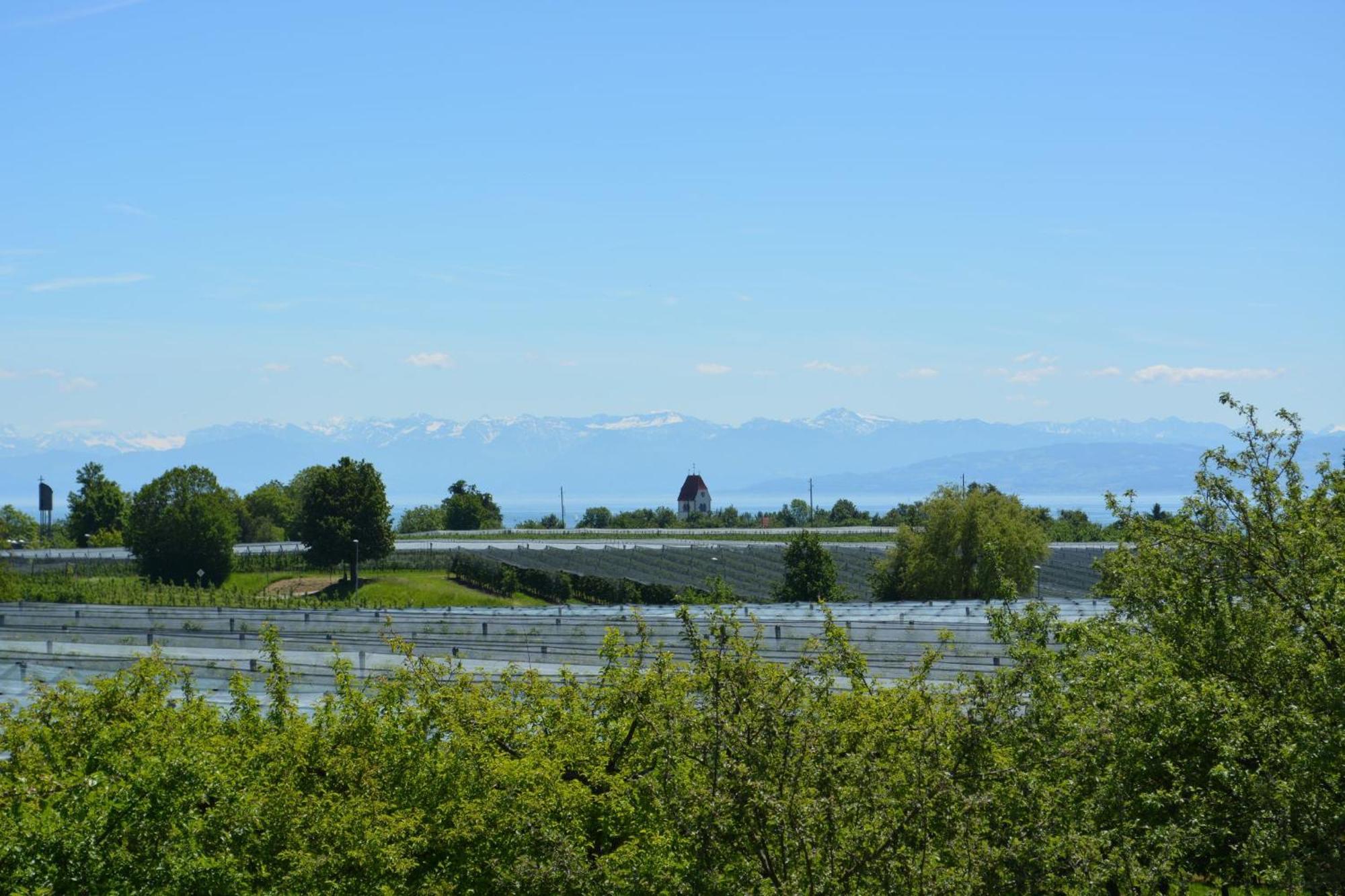 Ferienwohnung Plocher Immenstaad am Bodensee Zewnętrze zdjęcie