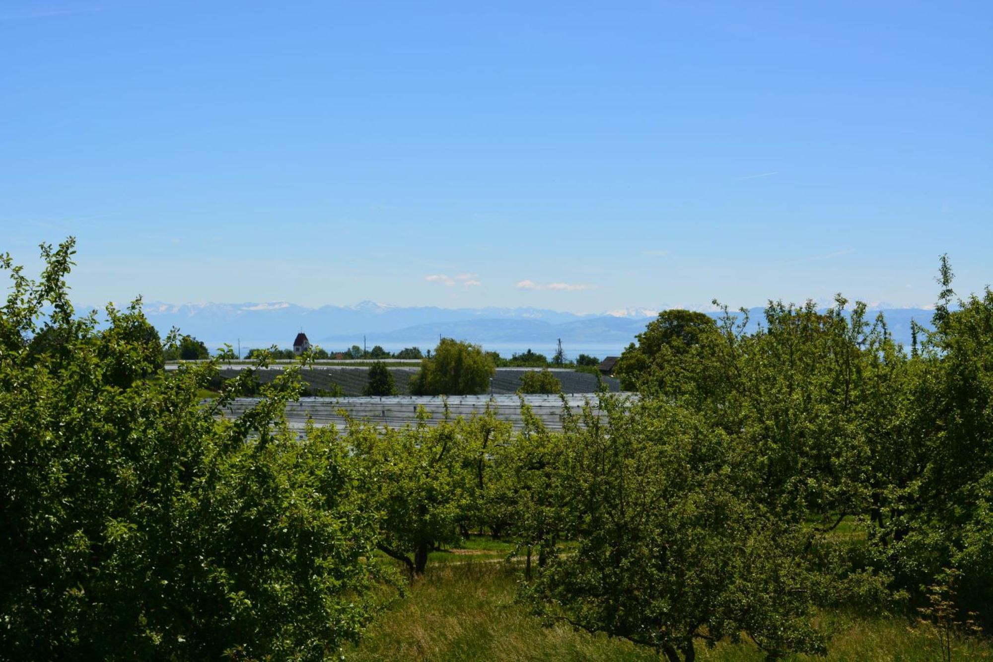 Ferienwohnung Plocher Immenstaad am Bodensee Zewnętrze zdjęcie