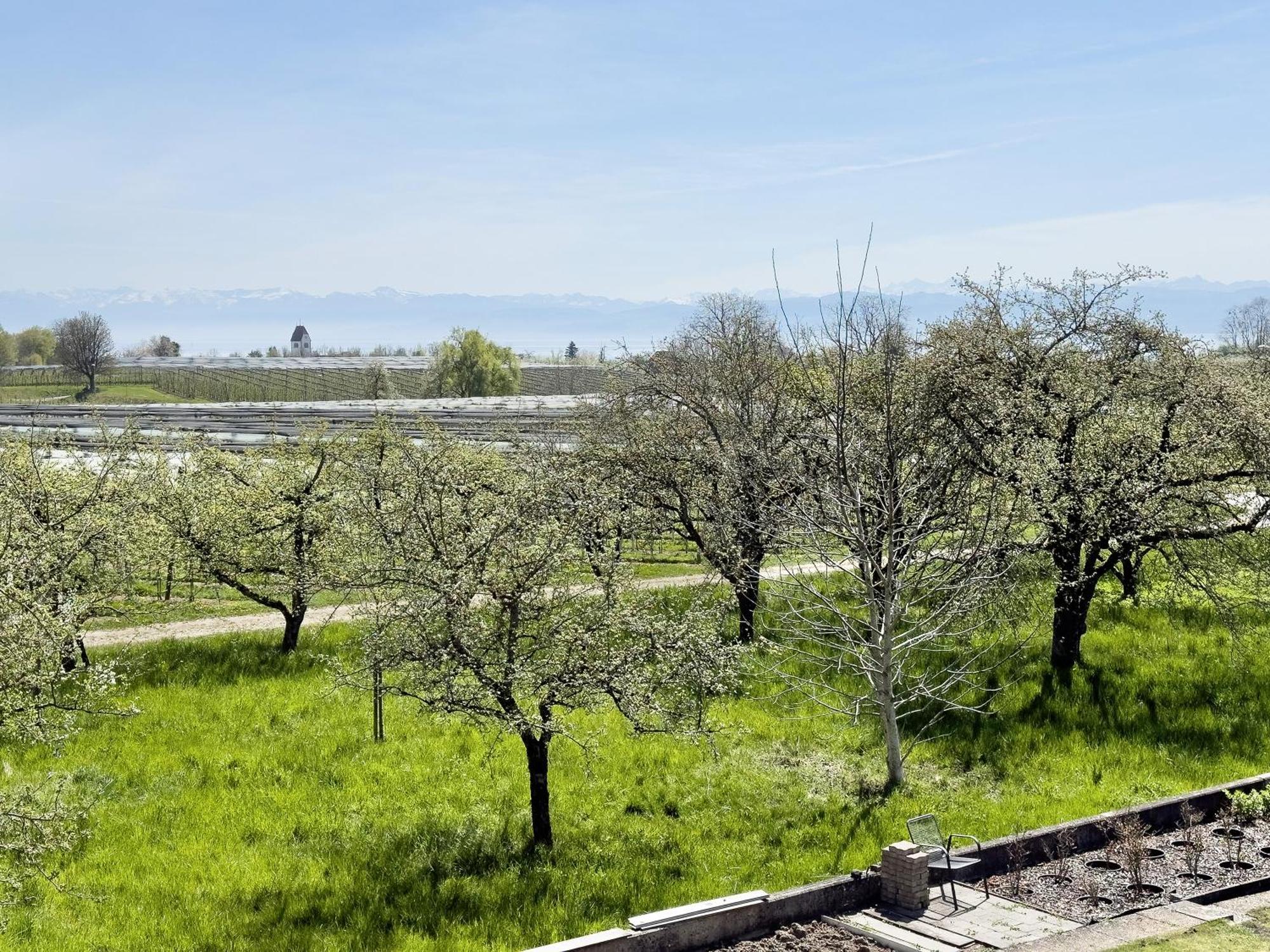 Ferienwohnung Plocher Immenstaad am Bodensee Zewnętrze zdjęcie